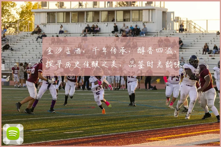 金沙古酒，千年传承，醇香四溢，探寻历史佳酿之美，品鉴时光韵味，三生有幸。